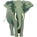 Architetto Elefante 01