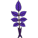 download Wild Rose Branch clipart image with 180 hue color