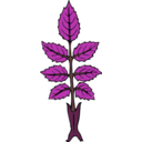download Wild Rose Branch clipart image with 225 hue color