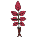 download Wild Rose Branch clipart image with 270 hue color