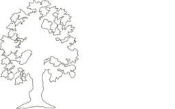 Simple Flowering Tree Outline