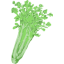 download Celery clipart image with 45 hue color