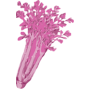 download Celery clipart image with 270 hue color