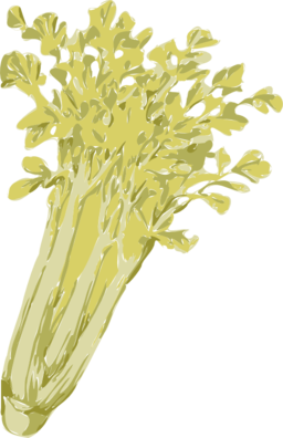 Celery