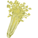 download Celery clipart image with 0 hue color