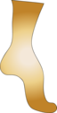 Socks Icon