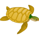 download Green Sea Turtle clipart image with 315 hue color