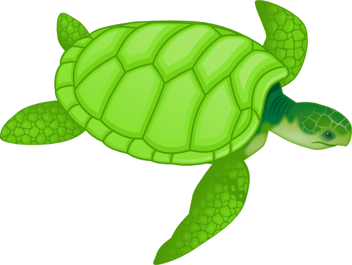 Green Sea Turtle