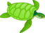 Green Sea Turtle