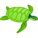 Green Sea Turtle