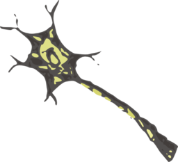 Neuron