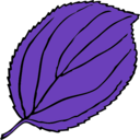 download Serrate Leaf clipart image with 180 hue color