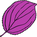 download Serrate Leaf clipart image with 225 hue color