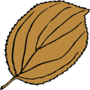 download Serrate Leaf clipart image with 315 hue color