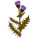 download Ku Cirsium Arvense clipart image with 315 hue color