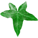 download Leaf clipart image with 45 hue color