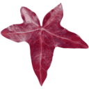 download Leaf clipart image with 270 hue color