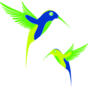 download Colibri Birds clipart image with 45 hue color