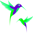 download Colibri Birds clipart image with 90 hue color