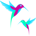 download Colibri Birds clipart image with 135 hue color