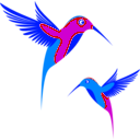 download Colibri Birds clipart image with 180 hue color