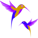 download Colibri Birds clipart image with 225 hue color