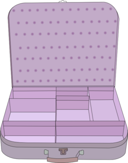 Suitcase With Compartment