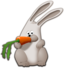 Bunny Eating Carrot