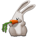 Bunny Eating Carrot