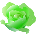 download Rose With Drops clipart image with 90 hue color