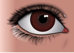 Realistic Brown Eye