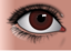 Realistic Brown Eye