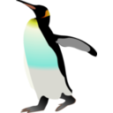 Emperor Penguin