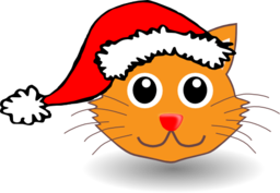 Funny Kitty Face With Santa Claus Hat