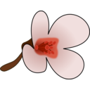 download Thaliana Flower clipart image with 315 hue color