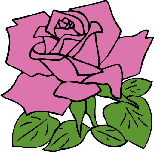 Pink Rose