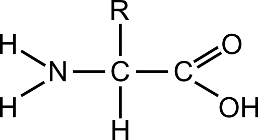 Amino Acid General