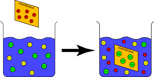 Ion Exchange Capacity Experiment