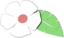Lemon Verbena