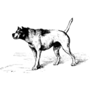 Darwin Expression Of Emotions