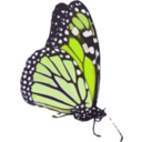 download Danaus Plexippus Ii clipart image with 45 hue color