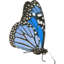 download Danaus Plexippus Ii clipart image with 180 hue color