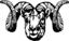 Dall Sheep Ram Stylized