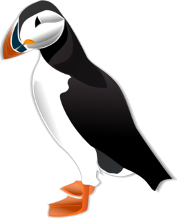 Puffin