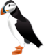 Puffin