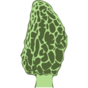 download Morel Mushroom clipart image with 45 hue color