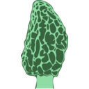 download Morel Mushroom clipart image with 90 hue color
