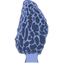 download Morel Mushroom clipart image with 180 hue color