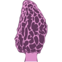 download Morel Mushroom clipart image with 270 hue color