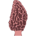 download Morel Mushroom clipart image with 315 hue color